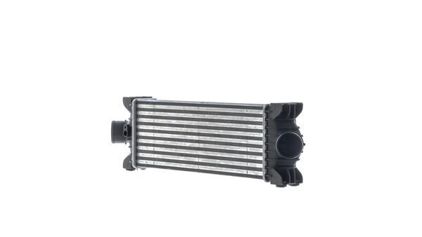 Mahle CI681000S