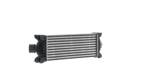 Mahle CI681000S