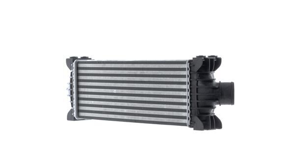 Mahle CI681000S