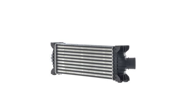 Mahle CI681000S