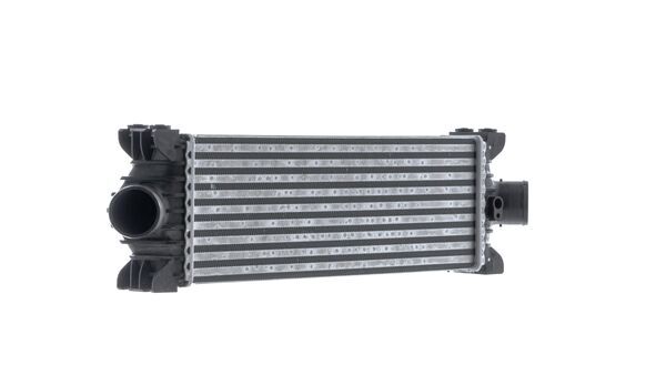 Mahle CI681000S