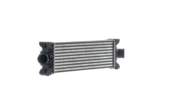 Mahle CI681000S