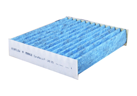 MAHLE LAO251