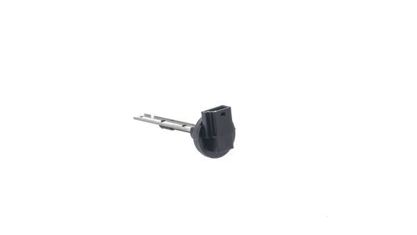 MAHLE ASE40000P
