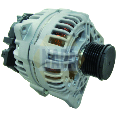 20045561