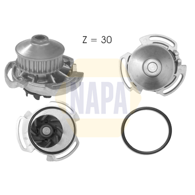 NAPA NWP1011