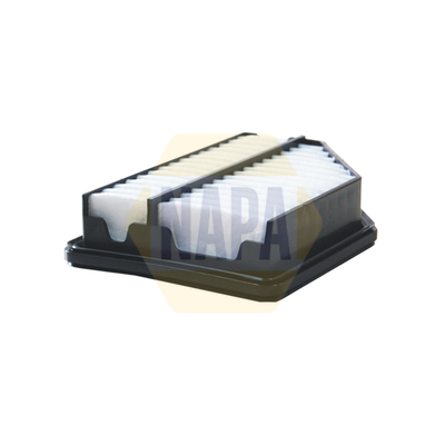 20415891