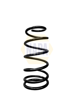 24260511