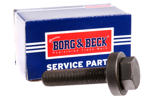 Borg & Beck BHN221 Hub Nut