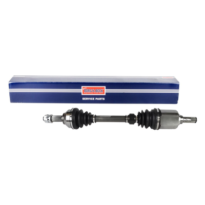 Borg & Beck BDS1060