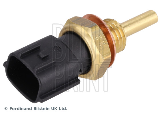 Blue Print ADN17205