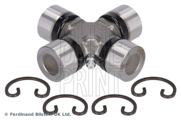 Blue Print ADG03904