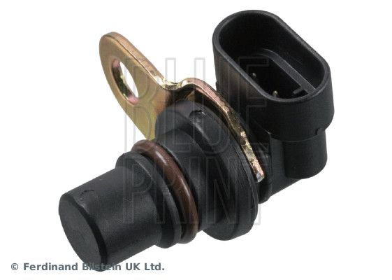 Blue Print ADG07293