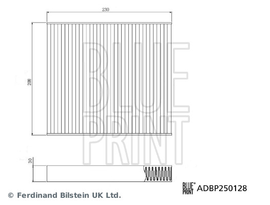 Blue Print ADBP250128