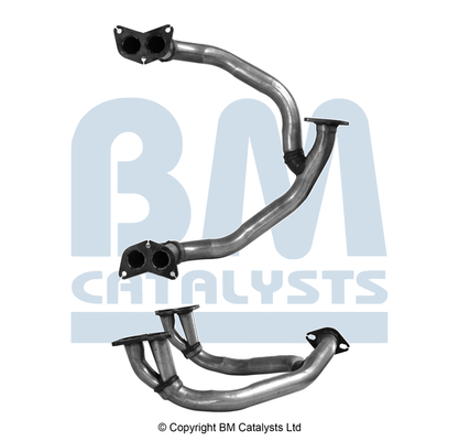 BM Catalysts BM70253