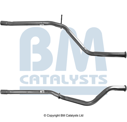 BM Catalysts BM50041