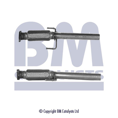 BM Catalysts BM50042