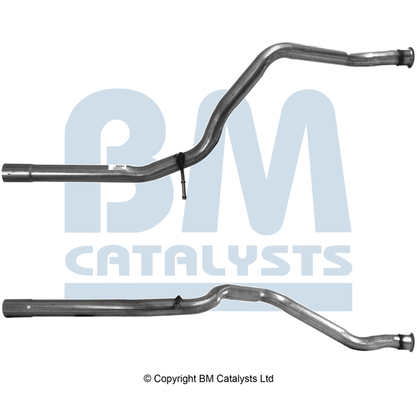 BM Catalysts BM50060