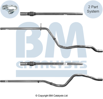 BM Catalysts BM50379