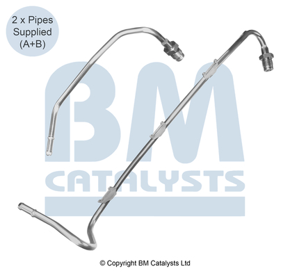 BM Catalysts PP11121C