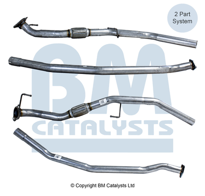 BM Catalysts BM50390