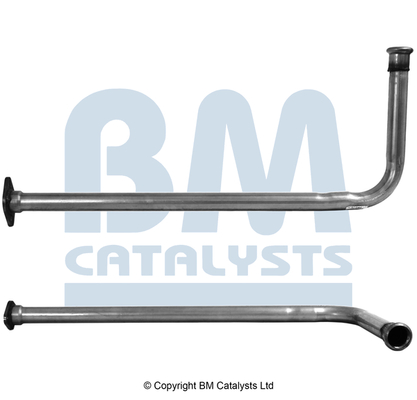 BM Catalysts BM50541
