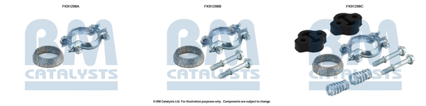 BM Catalysts FK91298C