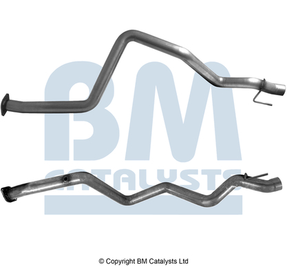 BM Catalysts BM50746