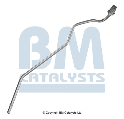 BM Catalysts PP11594A