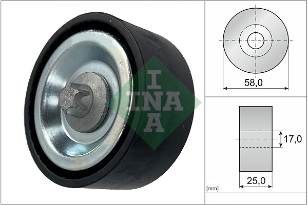 INA 532066910 Aux Belt Idler Pulley