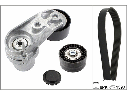 INA 529021010 Drive Belt Kit