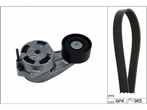 INA 529048210 Drive Belt Kit