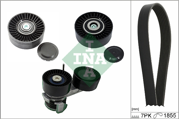 INA 529049310 Drive Belt Kit