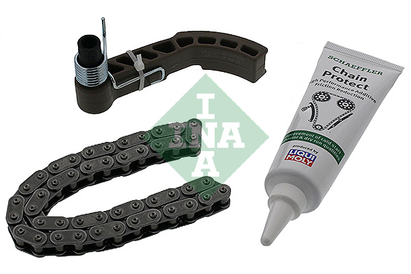 INA 558013310 Oil Pump Chain Kit