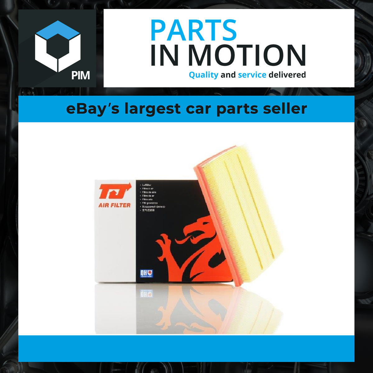 TJ Filters Air Filter QFA0260 [PM853967]
