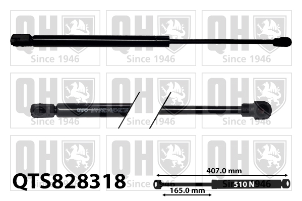 Quinton Hazell QTS828318 Bonnet Gas Strut