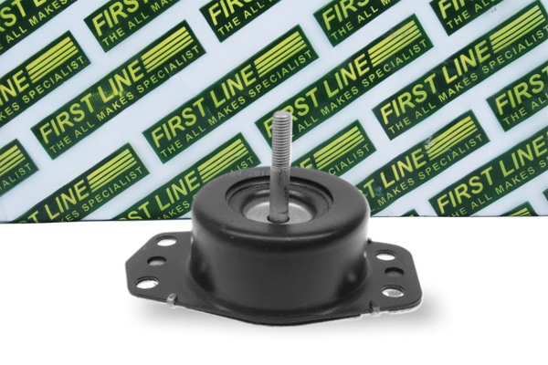 First Line FEM3669