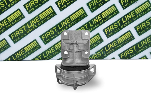 First Line FEM3918