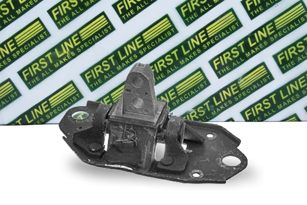 First Line FEM4007