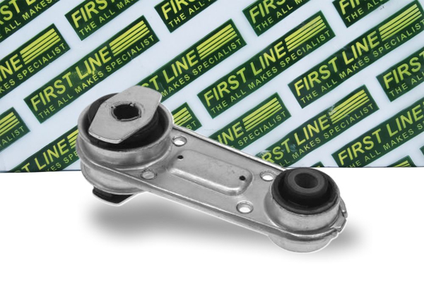 First Line FEM3830