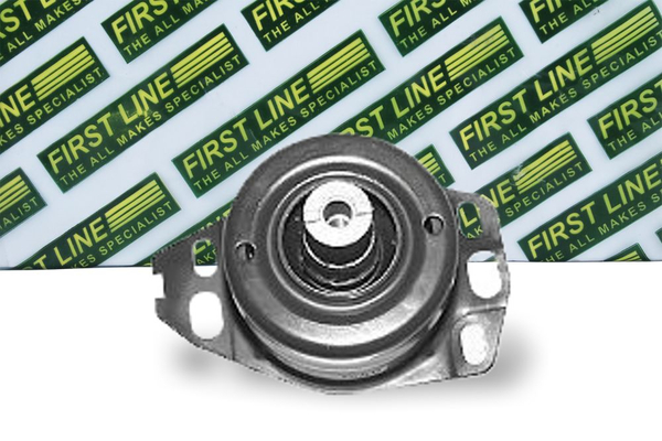 First Line FEM3054
