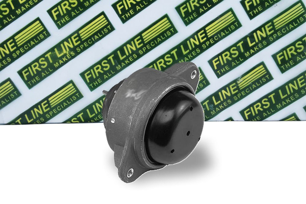 First Line FEM3289
