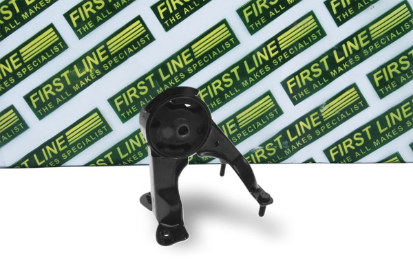 First Line FEM3699