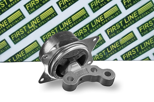 First Line FEM4101