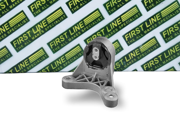 First Line FEM3901