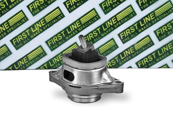 First Line FEM4080