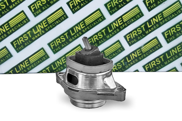 First Line FEM4081