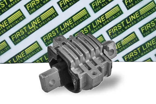 First Line FEM4194