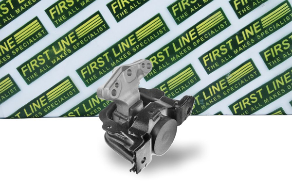 First Line FEM4210
