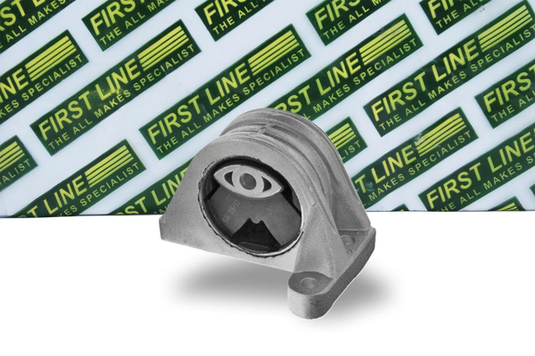 First Line FEM4291